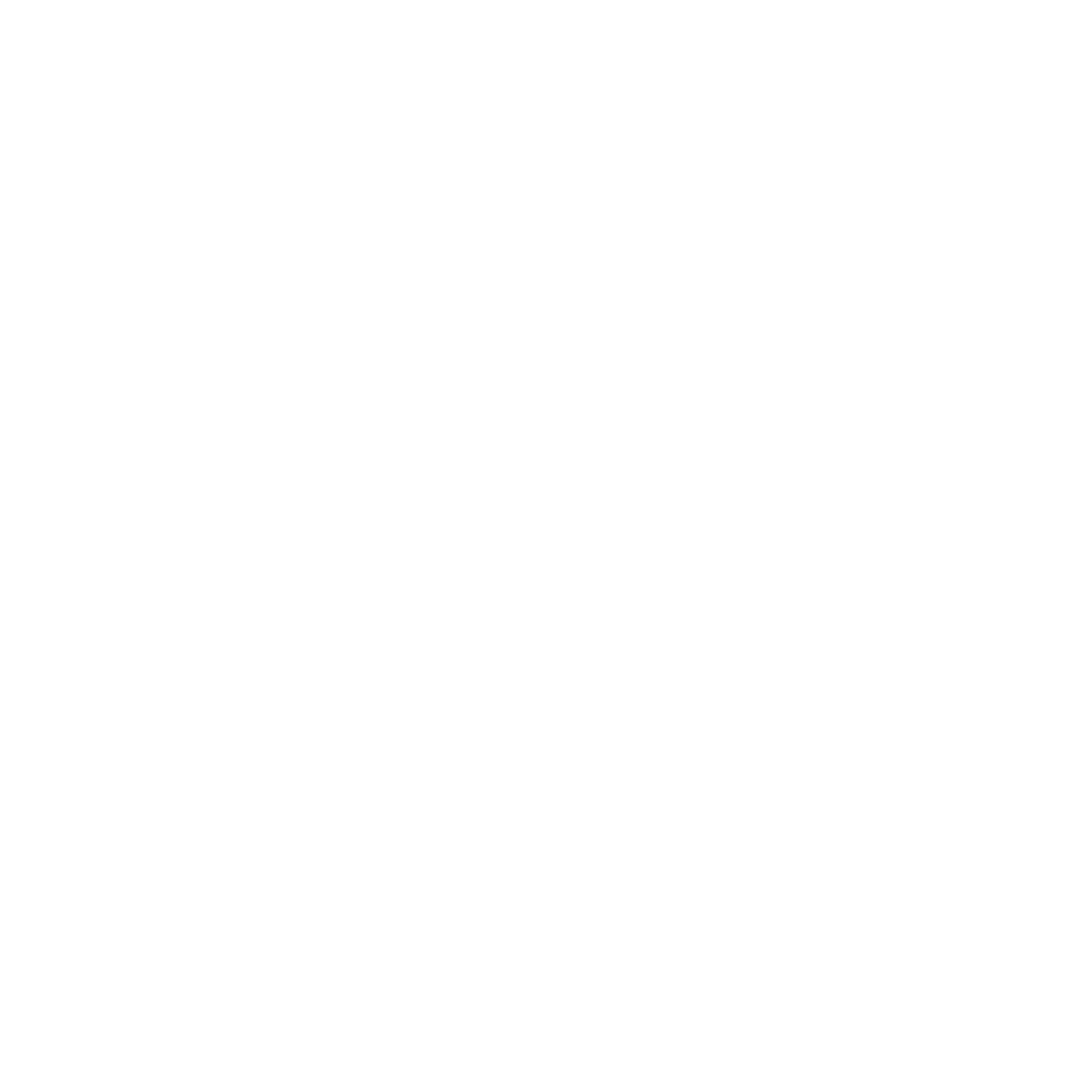 Logo Fondation MMT blanc